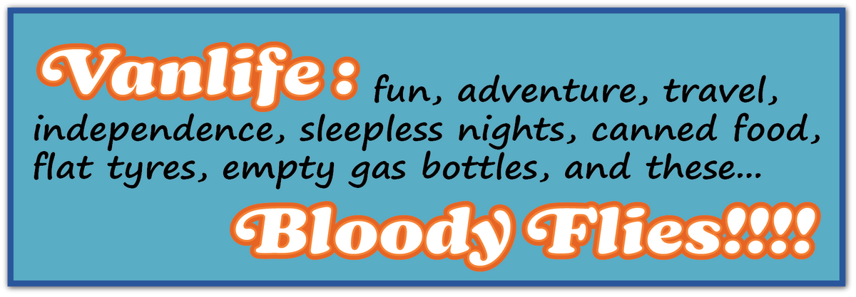A rectangular graphic with a blue background and orange border, featuring the text 'Vanlife : fun, adventure, travel, independence, sleepless nights, canned food, flat tyres, empty gas bottles, and these bloody flies.