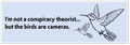 A square graphic with a light blue background and a white border. The text reads, 'I'm not a conspiracy theorist... but the birds are cameras."