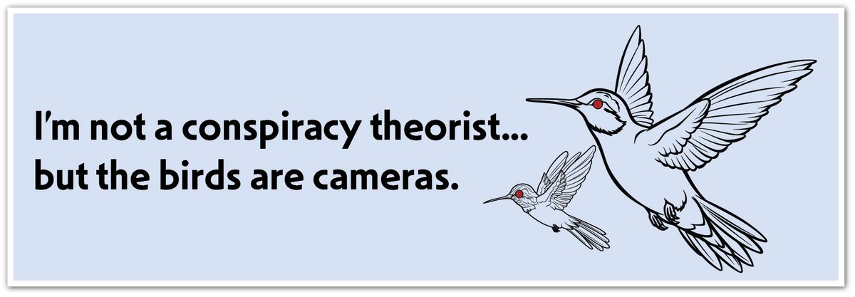 A square graphic with a light blue background and a white border. The text reads, 'I'm not a conspiracy theorist... but the birds are cameras."