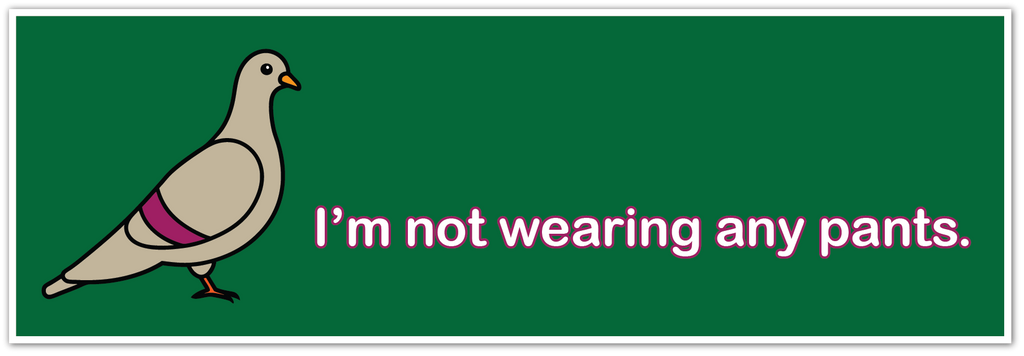 A rectangular graphic with a dark green background, featuring a cartoon pigeon on the left and the text 'I'm not wearing any pants.' in bright pink on the right.
