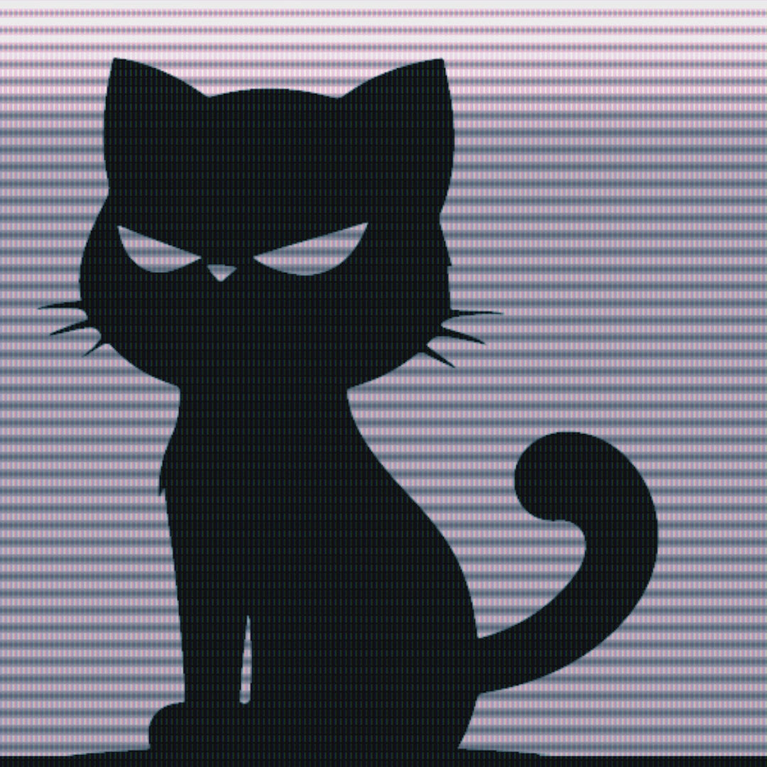 Promo video with three text scenes about the Black Kat 010 sticker, a shot of the sticker, and INSANA’s website address.