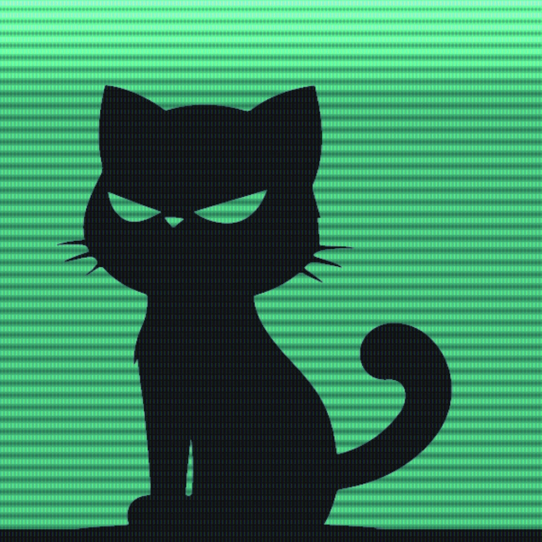 Promo video with three text scenes about the Black Kat 008 sticker, a shot of the sticker, and INSANA’s website address.