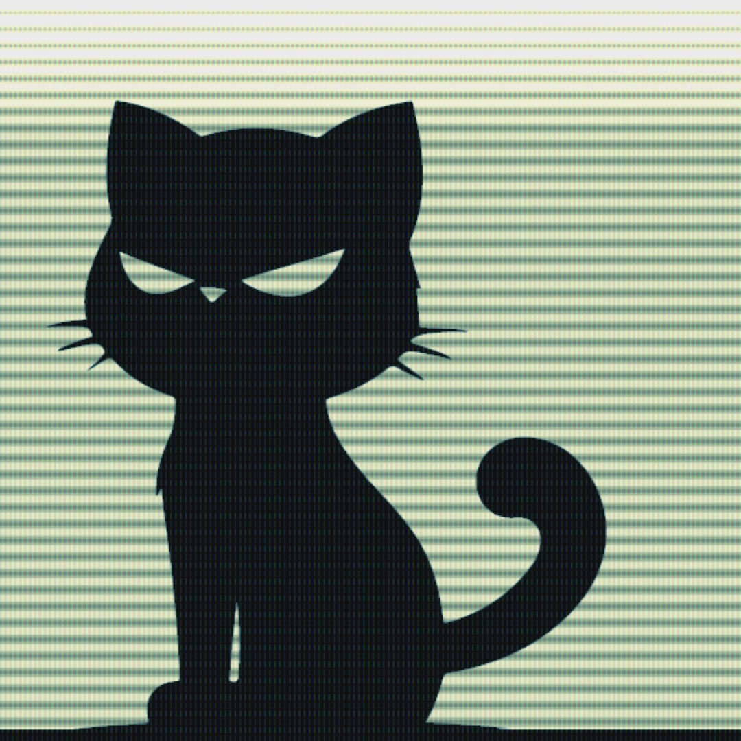 Promo video with three text scenes about the Black Kat 005 sticker, a shot of the sticker, and INSANA’s website address.