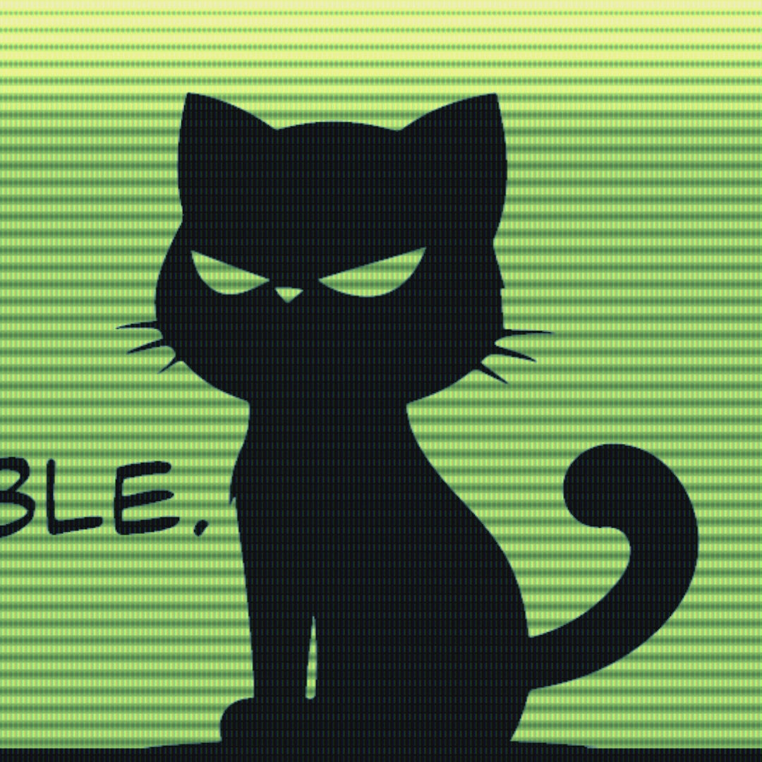Promo video with three text scenes about the Black Kat 002 sticker, a shot of the sticker, and INSANA’s website address.